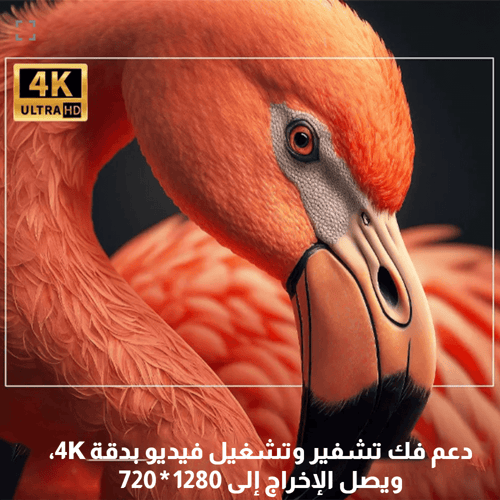 بروجكتر 4K