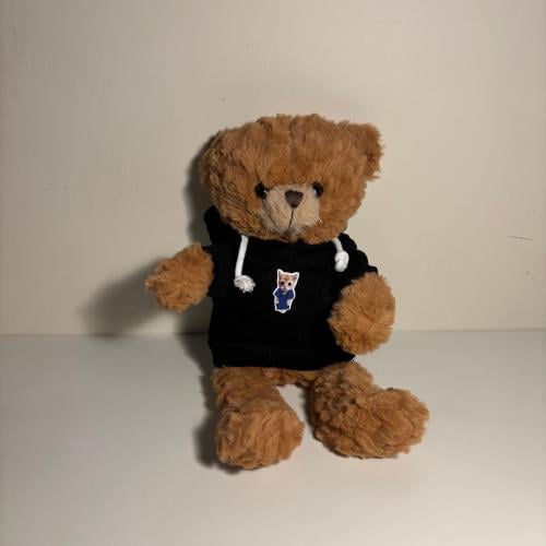 دمية دبدوب - طبيب (تسليم فوري)