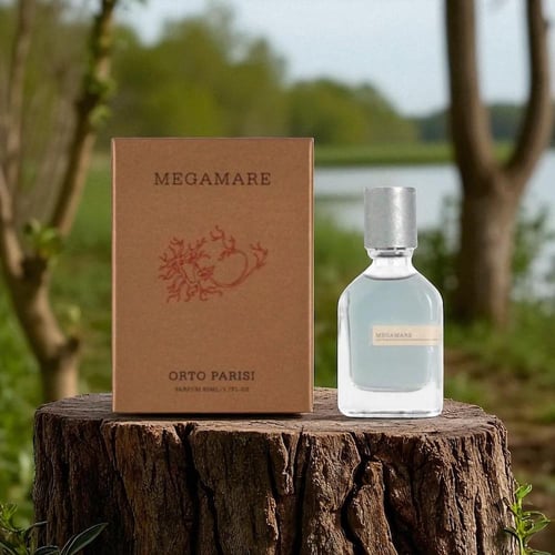 MEGAMARE ORTO PARISI