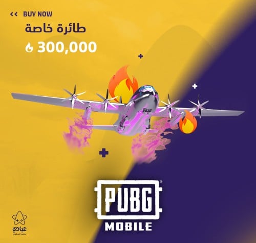 شعبية طائرة خاصة 300000