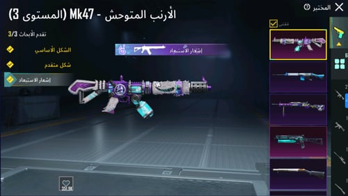 2 اسحلة كيل مسج , سيزونات ماكس , سكنات ميثيك