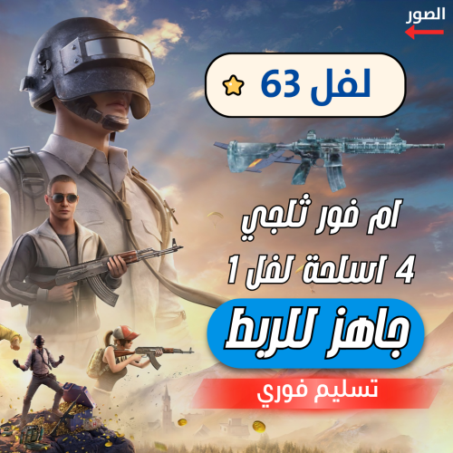حساب ببجي - ام فور الثلجي + 4 اسلحه لفل 1