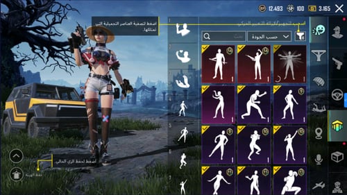 سكار-ل كيل مسج + سيارة تطوير , سيزونات ماكس و سكنا...