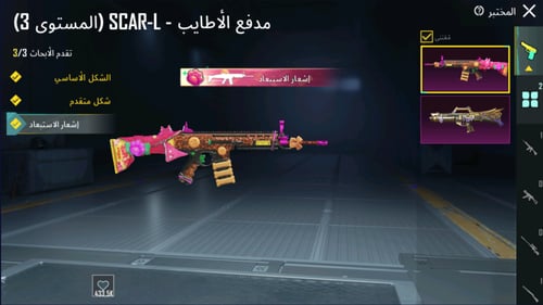 2 اسلحة كيل مسج + 2 سيارات تطوير , سيزونات ماكس و...