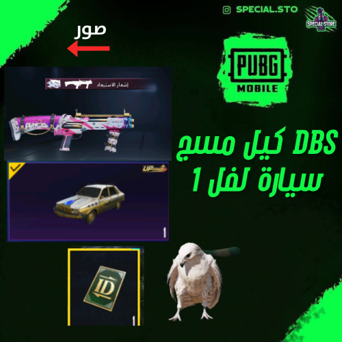 DBS كيل مسج + سيزونات ماكس و 15 سكن ميثيك - لفل 69