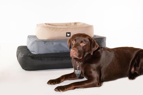 سرير الكلاب مايتي حجم متوسط الى كبير - أخضر جيشي