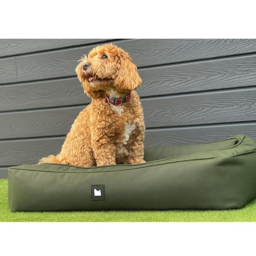 سرير الكلاب مايتي حجم متوسط الى كبير - أخضر جيشي