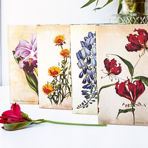 دفتر صغير Blooming Wisteria " مخطط "