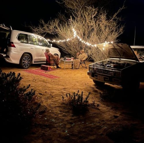 عقد الرحلة (كريمي) - لمبات اعراس ورحلات - من شركة...