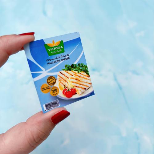 مغناطيس جبنة حلوم