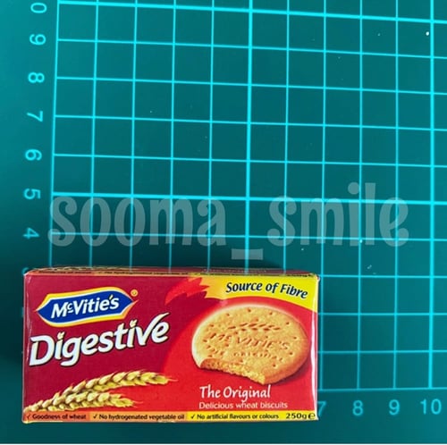 مغناطيس بسكوت دايجستف