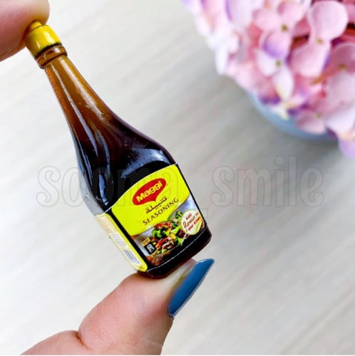 مغناطيس تتبيلة ماجي