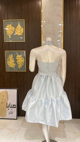 فستان شانتون بارلي - فخامة وأناقة لامتناهية