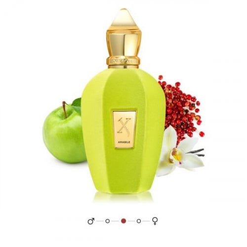 عطر زيرجوف امابيل - 100 مل