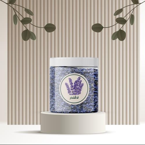 لافندر