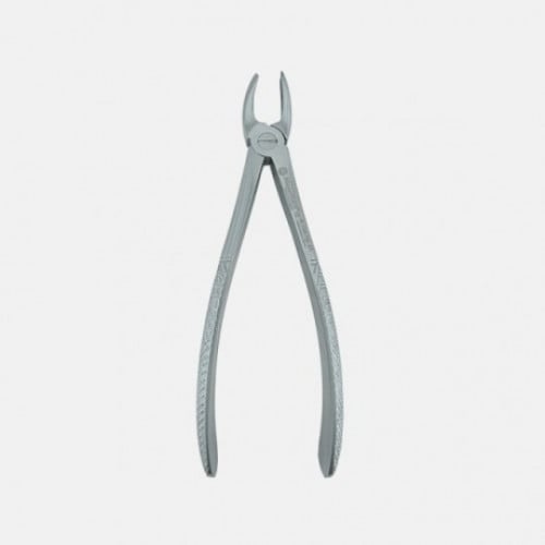 MAYERBACH ADULT RIGHT UPPER MOLAR (BIG LIGHT) DAVY...