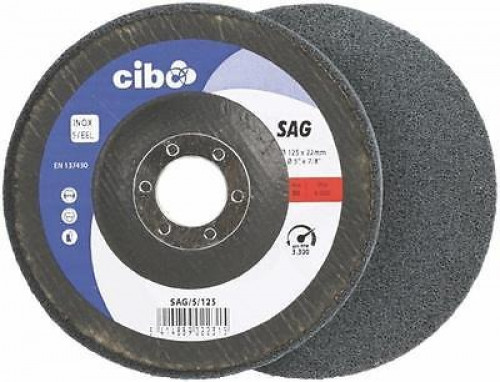 Polishing Disc