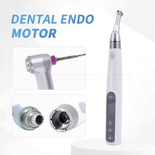 Endo motor