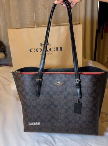 كوتش مولي مقاس 35 СМبعدة اللوان