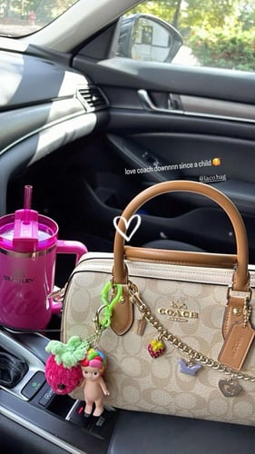 Coach bag rawan