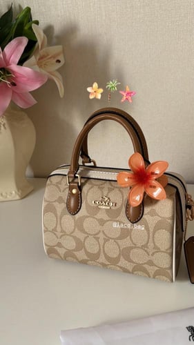 Coach bag rawan