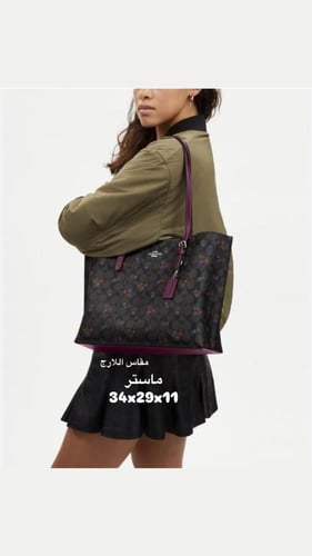 كوتش مولي مقاس 35 СМبعدة اللوان