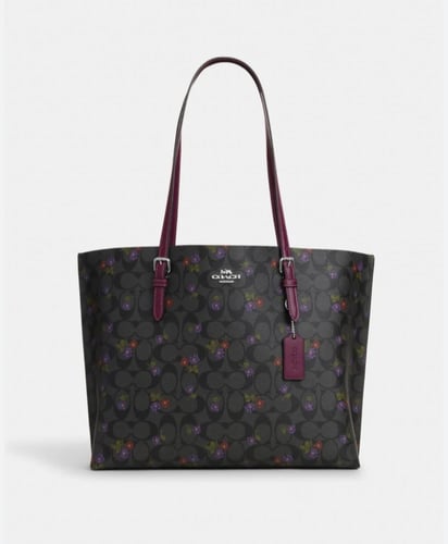 كوتش مولي مقاس 35 СМبعدة اللوان