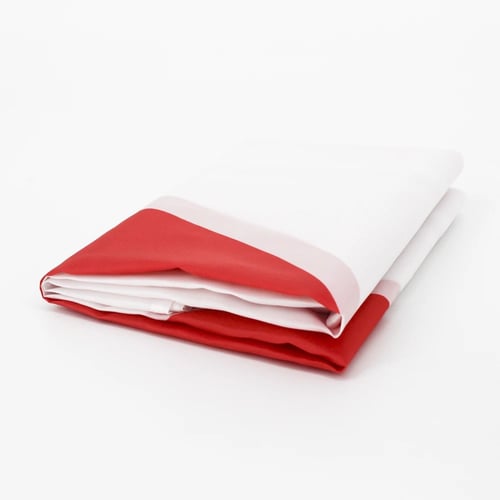 علم اليابان