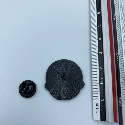 بروش فرانكي