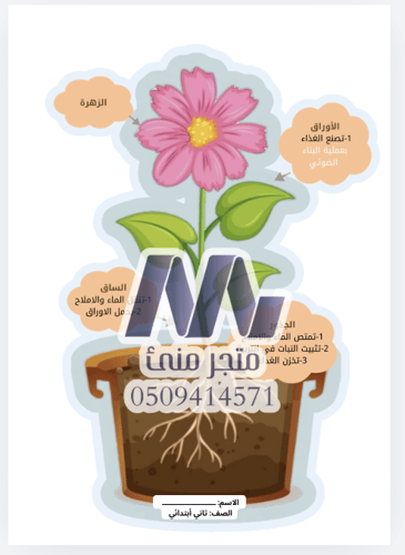 مطوية الزهرة ثاني ابتدائي