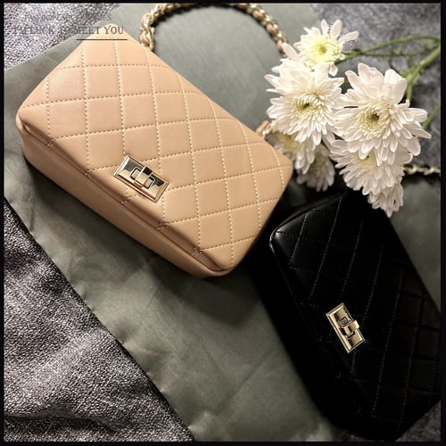 حقيبة يد صغيرة مبطنة