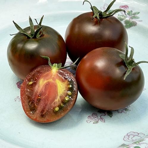 Tomato Black Prince