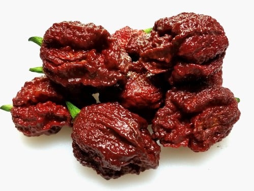 فلفل حار هابانيرو شوكلاته