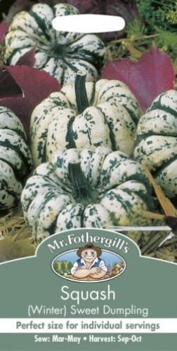 squash sweet dumpling