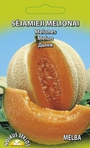 Melon melba
