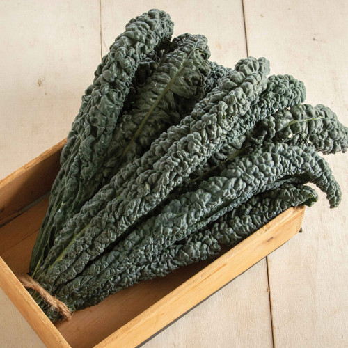 Kale Black Magic