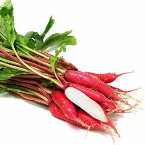 DAIKON RADISH SHUNKYO SEMI LONG