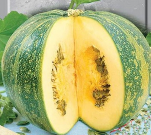 PUMPKIN HULLESS DANA