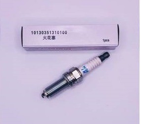 طقم بواجي جاك GAC GA3S