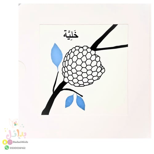 كتب التحفيز البصري - بيوت