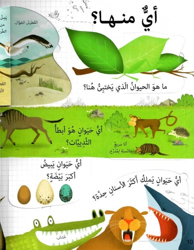 أسئلة وأجوبة - الحيوانات "كتاب بنوافذ"