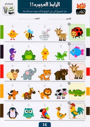 الرابط العجيب