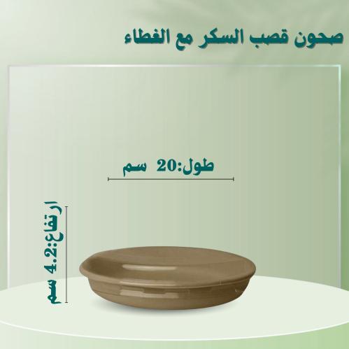 صحن بيضاوي 18 اونز قصب السكر مع غطاء بلاستيك