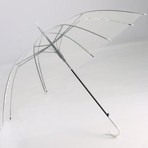 مظلة مطر شفافة