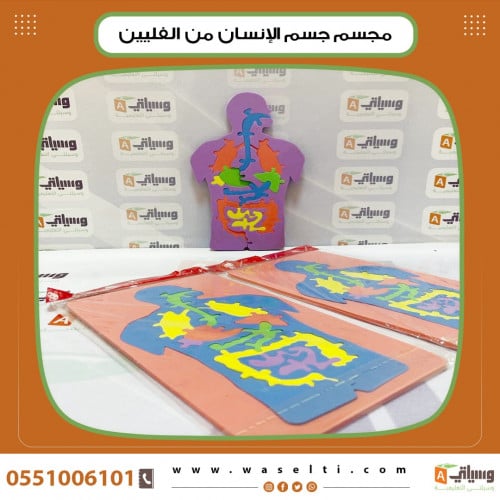 مجسم جسم الإنسان من الفلين
