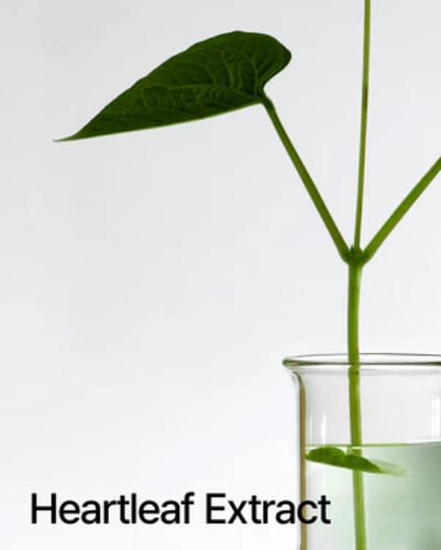 تونر انوا هارت ليف 77% تونر مهدئ، 250 مل