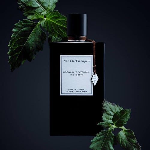 عطر مونلايت باتشولي من فان كليف اند اربلز - او دي...