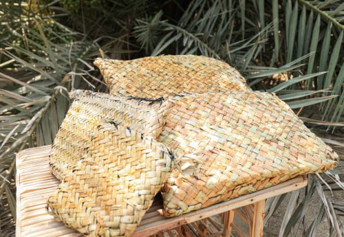 قطمة ابن زيد الحساوية(9-10 كيلو)