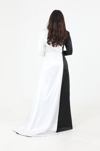 Dress (5)