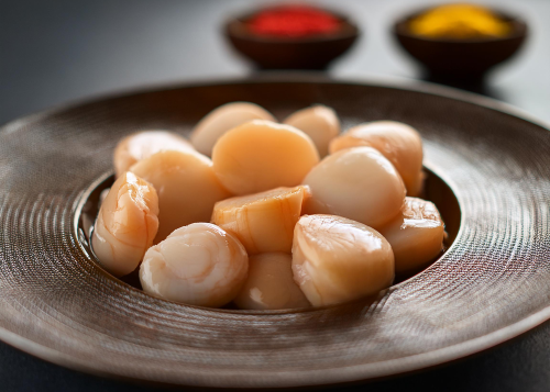 اسكالوب امريكي (محار)